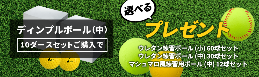 ディンプルボール（中）10ダースセットご購入で選べるプレゼント