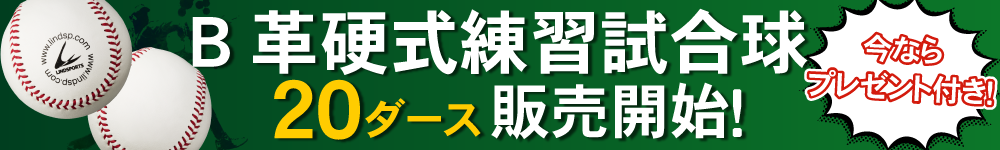 B革硬式練習球