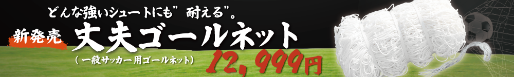 丈夫ゴールネット