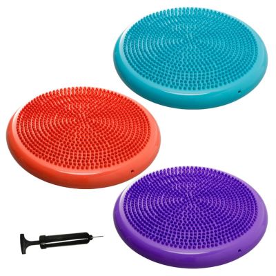 LINDSPORTS バランスクッション （ポンプ付）