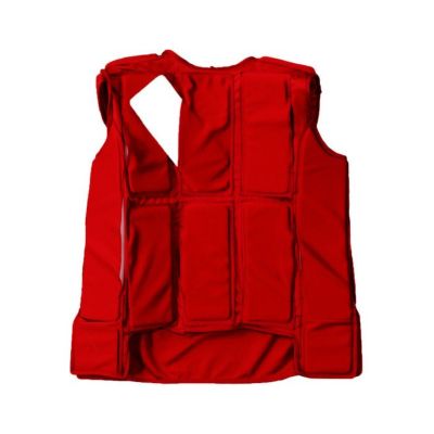 LINDSPORTS タックルダミー （ソフトタイプ） ※大型送料別途
