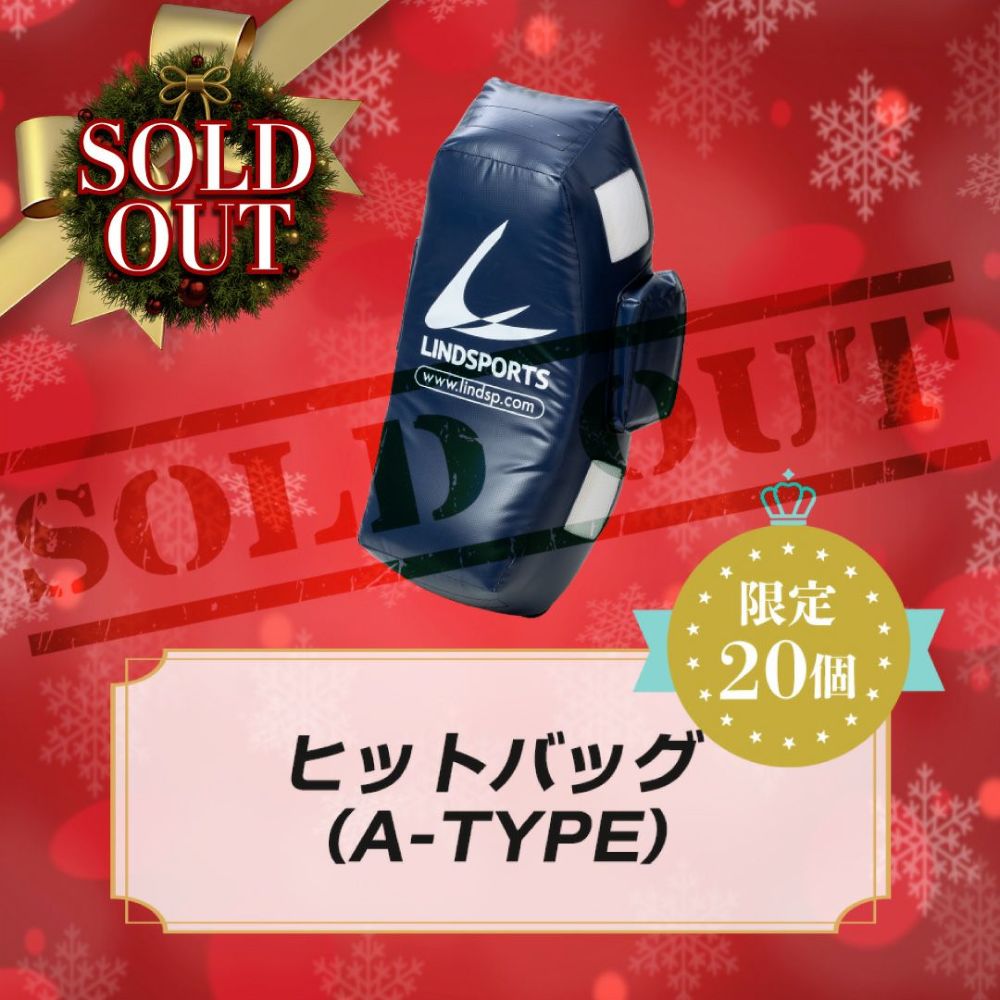 【Xmas限定】 ヒットバッグ Aタイプ