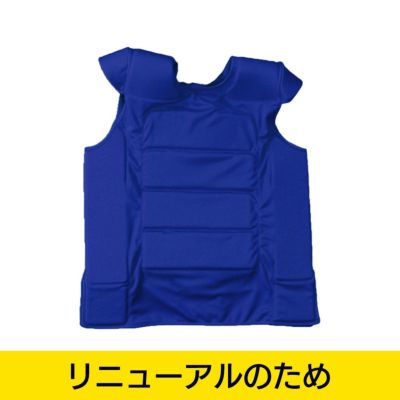 LINDSPORTS ヒットバッグ フラットタイプ | LINDSPORTS